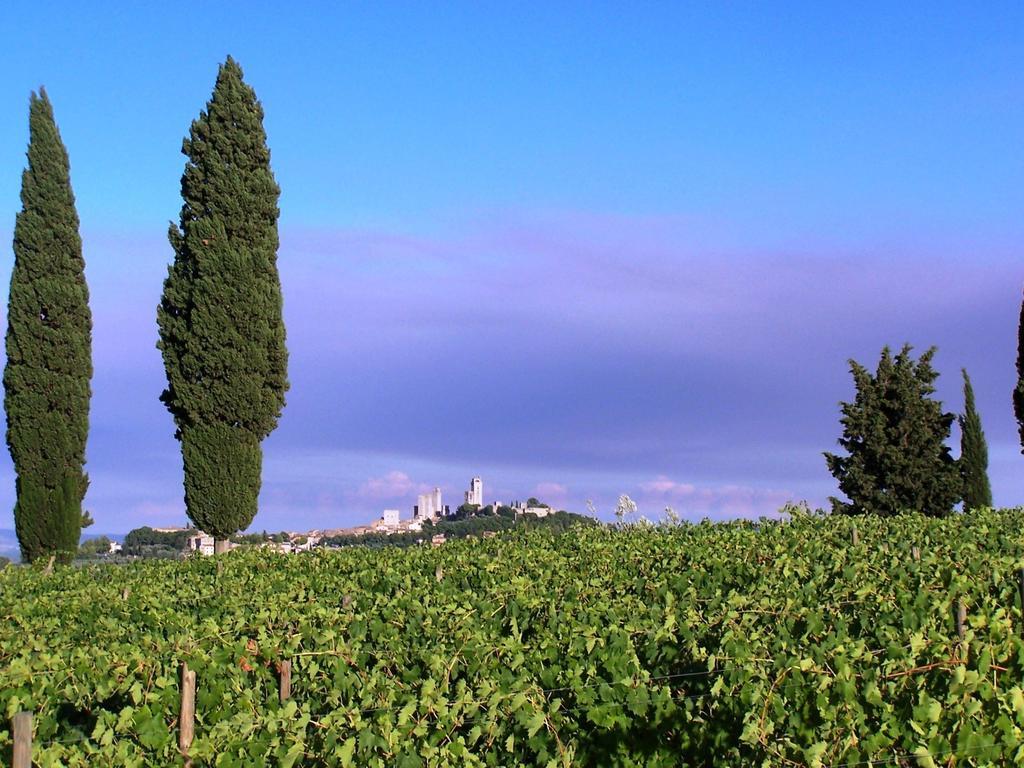 Poggetto Di Montese Apartment ซานจีมิญญาโน ห้อง รูปภาพ